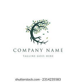 Tree and roots logo design vector isolated, abstract tree logo design illustration