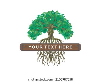 tree and roots logo template with banner in the middle. useful for insurance and consultant company logo.