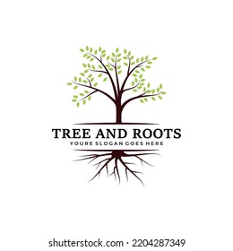 tree and roots logo vector illustration template design