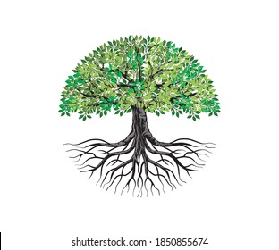 Tree and roots logo vector, tree logo with round shape