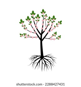 Baum mit Wurzeln. Eichenbaum. Vektorgrafik.