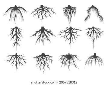 Tree roots. Plant root drawings isolated on white background, rooted plants black vector illustration, different wood ground branches, natural rootes sketch clipart