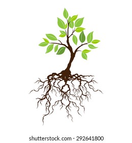 A tree and roots  with a realistic on white background
