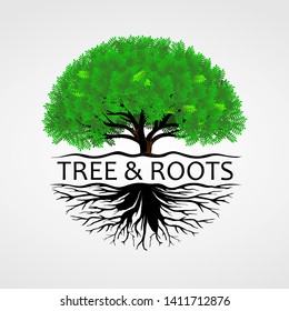 Tree and Roots, tree with round shape. Vector Real of a Tree.