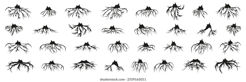 Tree roots silhouette collection. Set of black tree roots silhouettes. Tree root logo collection