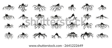 Tree roots silhouette collection. Set of black tree roots silhouettes. Tree root logo collection
