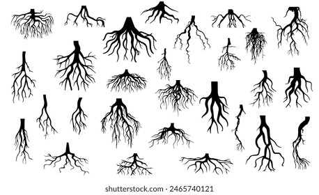 Tree roots silhouette isolated on white. Vector illustration plant forest design and environment ecology. Branch art tree and garden shape stem drawing.