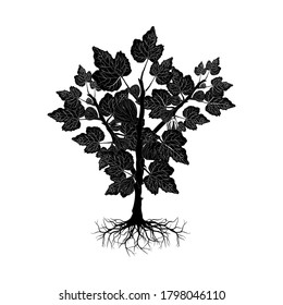 Tree and roots silhouette on white background, vector illustration