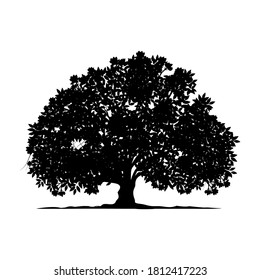Tree and roots silhouette on white background, vector illustration