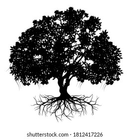 Tree and roots silhouette on white background, vector illustration