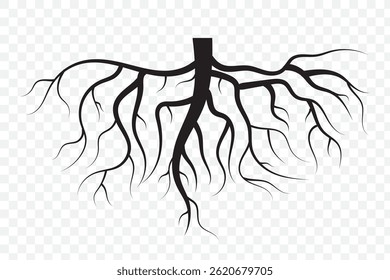 Tree roots silhouette . Set of black tree roots silhouettes. Tree root logo collection  . 