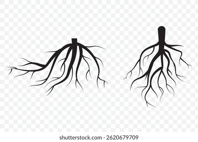 Tree roots silhouette . Set of black tree roots silhouettes. Tree root logo collection  . 