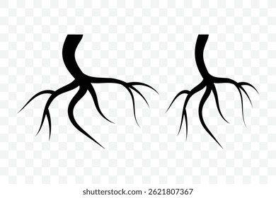 Tree roots silhouettes set. Root, taproot vector isolated. Underground growing fibrous structure. Wood growth, plant system, eco pattern, natural organic shapes isolated.  Vector illustration.