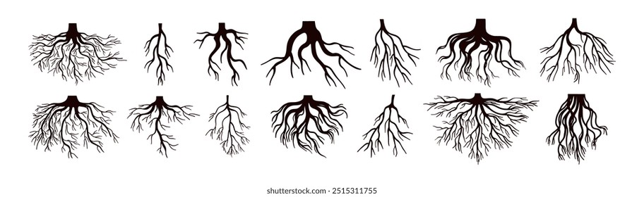 Conjunto de silhuetas de raízes de árvore. Crescimento de madeira, sistema vegetal, padrão ecológico, formas orgânicas naturais. Ramos florestais subterrâneos nus. Elementos de botânica. Ilustração de vetor plano isolada no plano de fundo branco