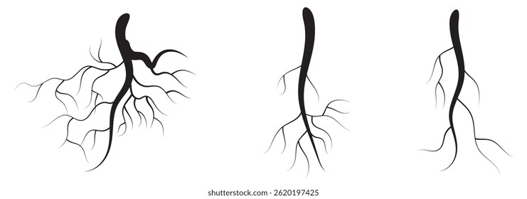 Tree roots silhouettes set. Wood growth, plant system, eco pattern, natural organic shapes. Bare underground forest branches. Botany elements. Flat vector illustration isolated on white background 
