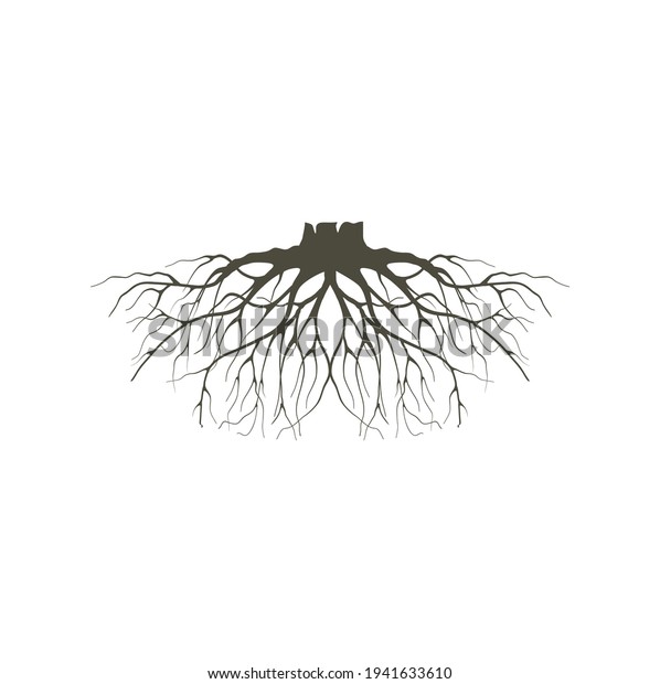 Tree Roots That Have Dried Died Stock Vector (Royalty Free) 1941633610 ...