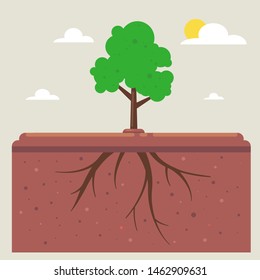 tree roots under the ground. wildlife landscape. plant root system. flat vector illustration