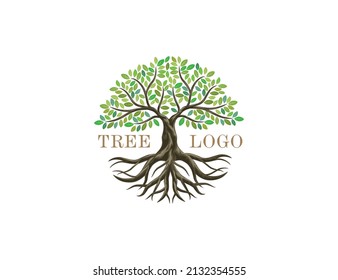 Tree and roots vector, abstract tree logo with circle shapes