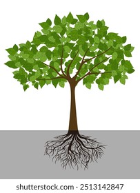 Árvore com raízes Vetor, grandes folhas, raízes vetor de crescimento, ilustração de árvore de desenho animado