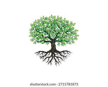 Árbol y raíces Vector, árbol gigante con hojas verdes y forma redonda	