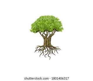 Tree and Roots vector, Giant tree isolated on white