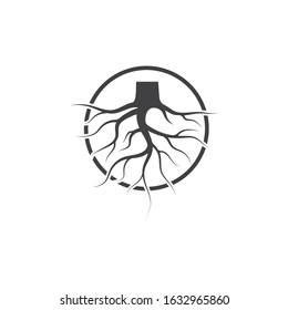 tree roots vector icon illustration design template