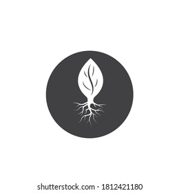 tree roots vector icon illustration design template