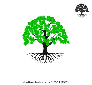 Tree and roots vector, tree vector illustration.