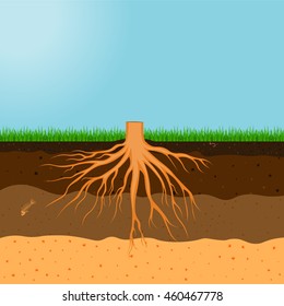 Tree with roots vector illustration