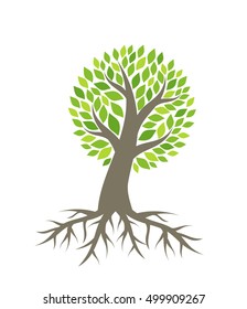 Tree with roots vector illustration