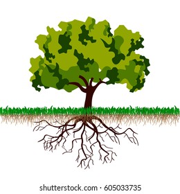 Tree with roots. Vector illustration