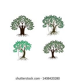 Tree and roots  vector illustration design, mangroves tree set