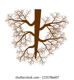 Tree roots. Vector illustration. Plants and gardens