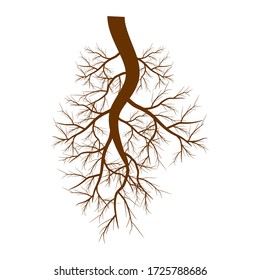 Tree roots. Vector illustration. Plants and gardens