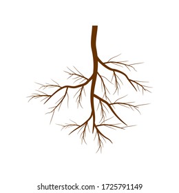 Tree roots. Vector illustration. Plants and gardens