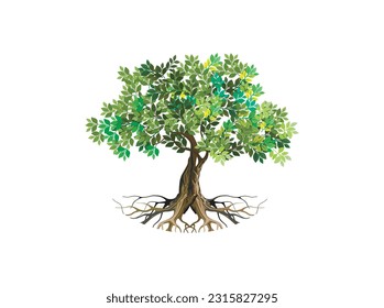 tree and roots vector illustrations