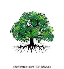 tree and roots vector illustrations, mangrove tree