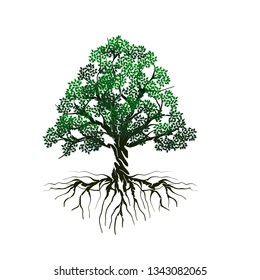 tree and roots vector illustrations, mangrove tree