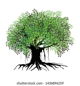 tree and roots vector illustrations, mangrove tree