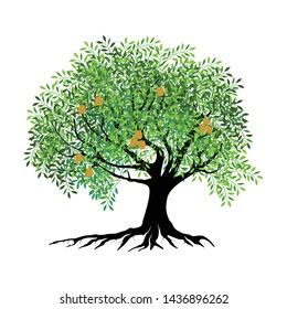 tree and roots vector illustrations, mangrove tree