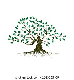 木と根のベクター画像イラスト マングローブの木eps10 のベクター画像素材 ロイヤリティフリー