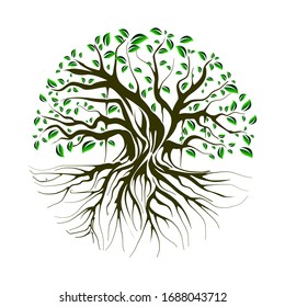tree and roots vector illustrations, mangrove tree