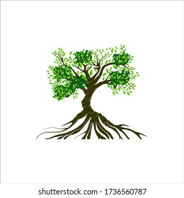 tree and roots vector illustrations, mangrove tree
