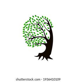tree and roots vector illustrations, mangrove tree