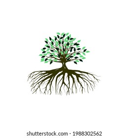 ilustraciones vectoriales de árboles y raíces, árbol de mangle
