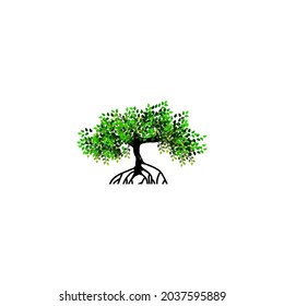tree and roots vector illustrations, mangrove tree