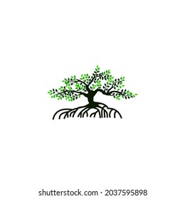 tree and roots vector illustrations, mangrove tree