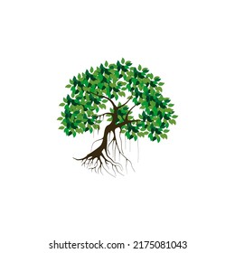 tree and roots vector illustrations, mangrove tree