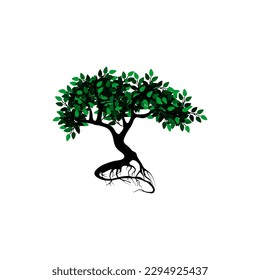 tree and roots vector illustrations, mangrove tree