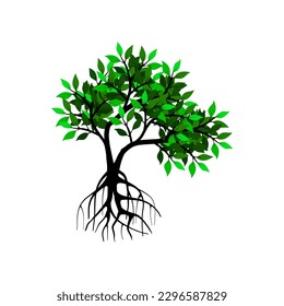 Vektorgrafiken von Baum und Wurzeln, Mangrovenbaum
